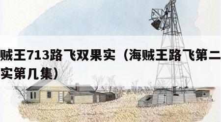 海贼王713路飞双果实（海贼王路飞第二个果实第几集）
