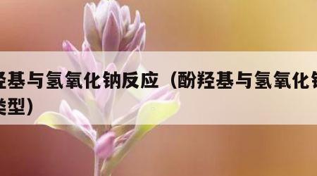 酚羟基与氢氧化钠反应（酚羟基与氢氧化钠反应类型）