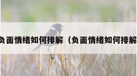 负面情绪如何排解（负面情绪如何排解）