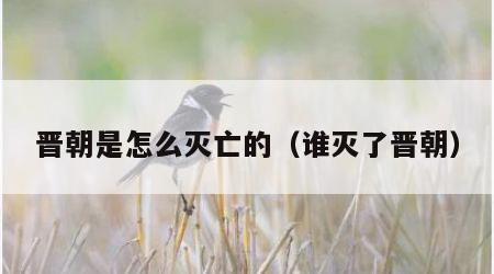 晋朝是怎么灭亡的（谁灭了晋朝）