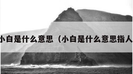 小白是什么意思（小白是什么意思指人）