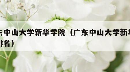广东中山大学新华学院（广东中山大学新华学院排名）