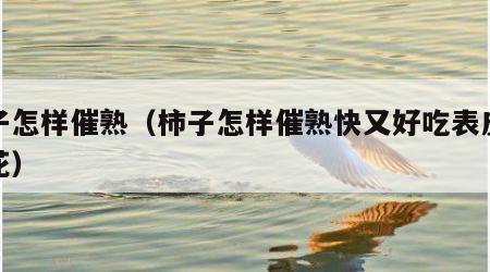 柿子怎样催熟（柿子怎样催熟快又好吃表皮不开花）