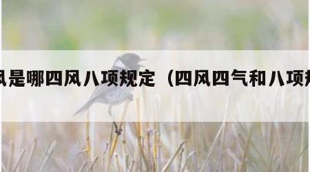 四风是哪四风八项规定（四风四气和八项规定）