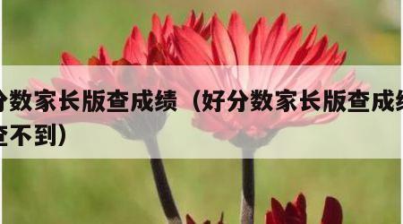 好分数家长版查成绩（好分数家长版查成绩怎么查不到）