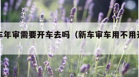 新车年审需要开车去吗（新车审车用不用开车去）
