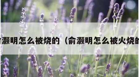 俞灏明怎么被烧的（俞灏明怎么被火烧的）