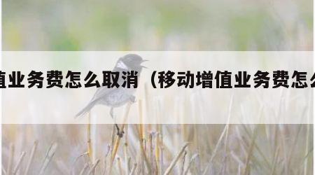 增值业务费怎么取消（移动增值业务费怎么取消）