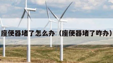 座便器堵了怎么办（座便器堵了咋办）