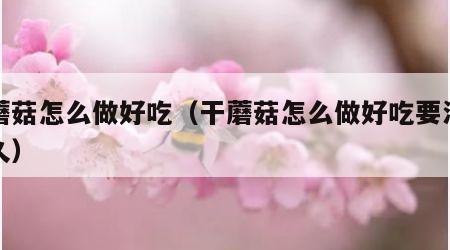 干蘑菇怎么做好吃（干蘑菇怎么做好吃要泡发多久）