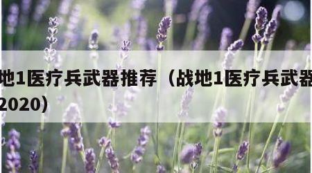 战地1医疗兵武器推荐（战地1医疗兵武器推荐2020）