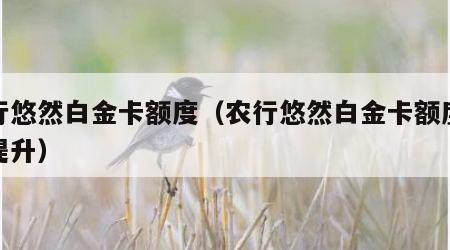 农行悠然白金卡额度（农行悠然白金卡额度怎么提升）