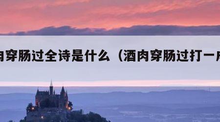 酒肉穿肠过全诗是什么（酒肉穿肠过打一成语）