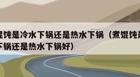 煮馄饨是冷水下锅还是热水下锅（煮馄饨是冷水下锅还是热水下锅好）