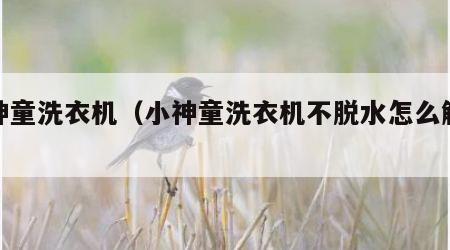小神童洗衣机（小神童洗衣机不脱水怎么解决）