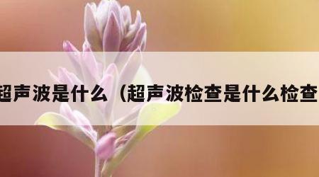 超声波是什么（超声波检查是什么检查）