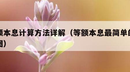 等额本息计算方法详解（等额本息最简单的算法图）