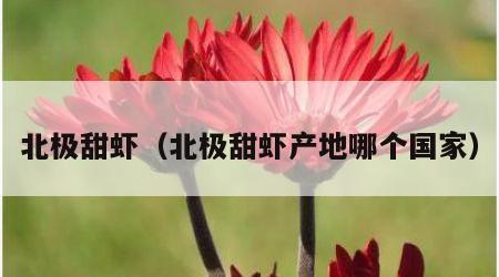北极甜虾（北极甜虾产地哪个国家）