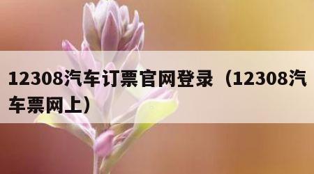 12308汽车订票官网登录（12308汽车票网上）