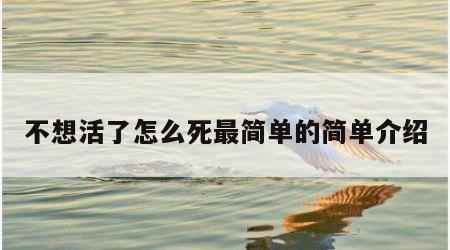 不想活了怎么死最简单的简单介绍