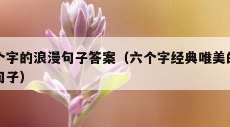 六个字的浪漫句子答案（六个字经典唯美的浪漫句子）