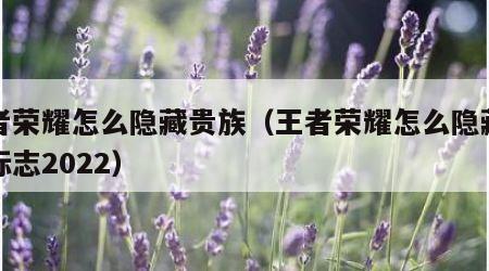 王者荣耀怎么隐藏贵族（王者荣耀怎么隐藏贵族标志2022）