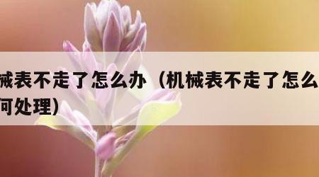 机械表不走了怎么办（机械表不走了怎么办,如何处理）