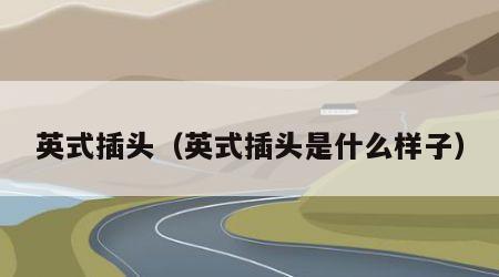 英式插头（英式插头是什么样子）