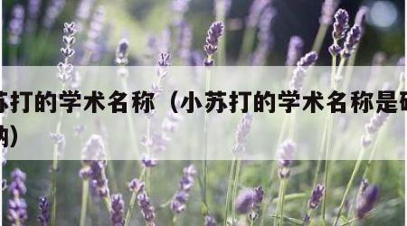 小苏打的学术名称（小苏打的学术名称是碳酸氢钠）