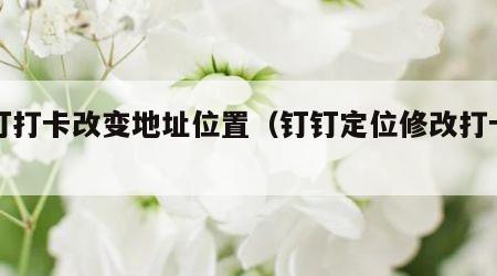 钉钉打卡改变地址位置（钉钉定位修改打卡神器）