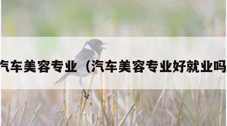 汽车美容专业（汽车美容专业好就业吗）