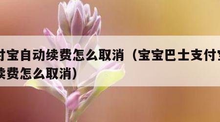 支付宝自动续费怎么取消（宝宝巴士支付宝自动续费怎么取消）