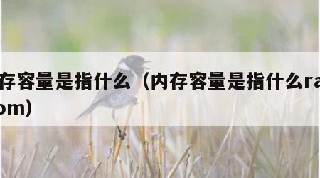 内存容量是指什么（内存容量是指什么ram rom）
