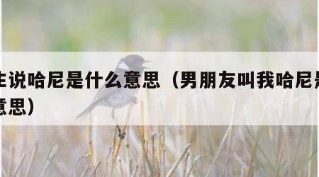 男生说哈尼是什么意思（男朋友叫我哈尼是什么意思）