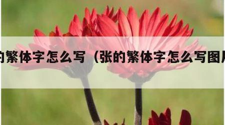 张的繁体字怎么写（张的繁体字怎么写图片大全）