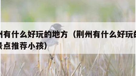 荆州有什么好玩的地方（荆州有什么好玩的地方景点推荐小孩）