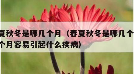春夏秋冬是哪几个月（春夏秋冬是哪几个月,每个月容易引起什么疾病）