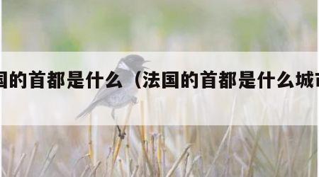 法国的首都是什么（法国的首都是什么城市名称）
