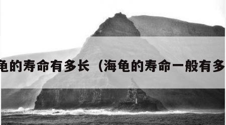 海龟的寿命有多长（海龟的寿命一般有多长）