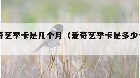爱奇艺季卡是几个月（爱奇艺季卡是多少个月）