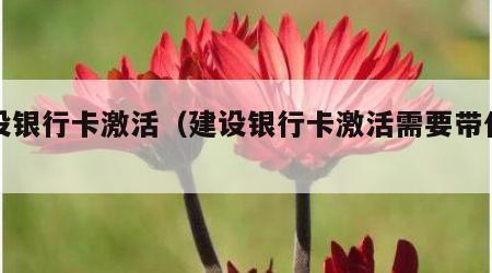 建设银行卡激活（建设银行卡激活需要带什么）