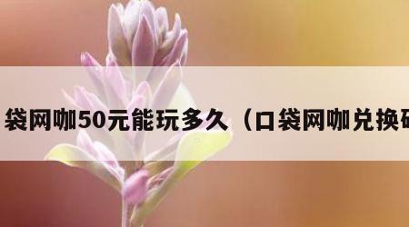 口袋网咖50元能玩多久（口袋网咖兑换码）