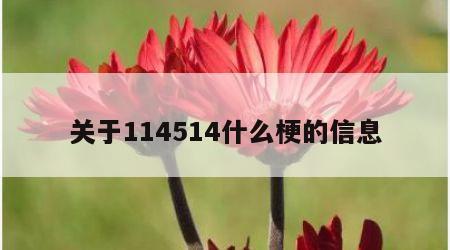 关于114514什么梗的信息