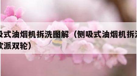 侧吸式油烟机拆洗图解（侧吸式油烟机拆洗图解欧派双轮）