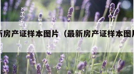 最新房产证样本图片（最新房产证样本图片天津）
