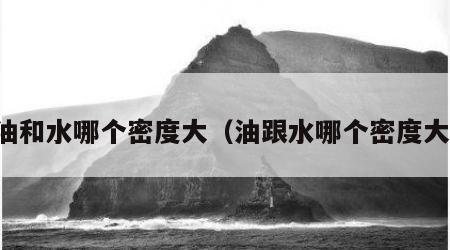 油和水哪个密度大（油跟水哪个密度大）