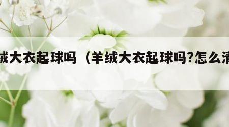 羊绒大衣起球吗（羊绒大衣起球吗?怎么清洗?）