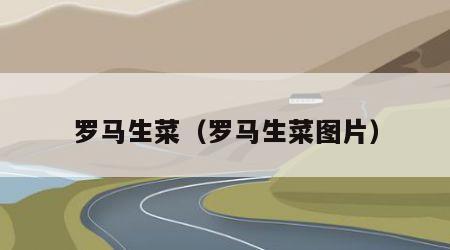 罗马生菜（罗马生菜图片）