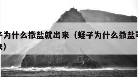 蛏子为什么撒盐就出来（蛏子为什么撒盐可以出来）