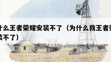 为什么王者荣耀安装不了（为什么我王者荣耀安装不了）